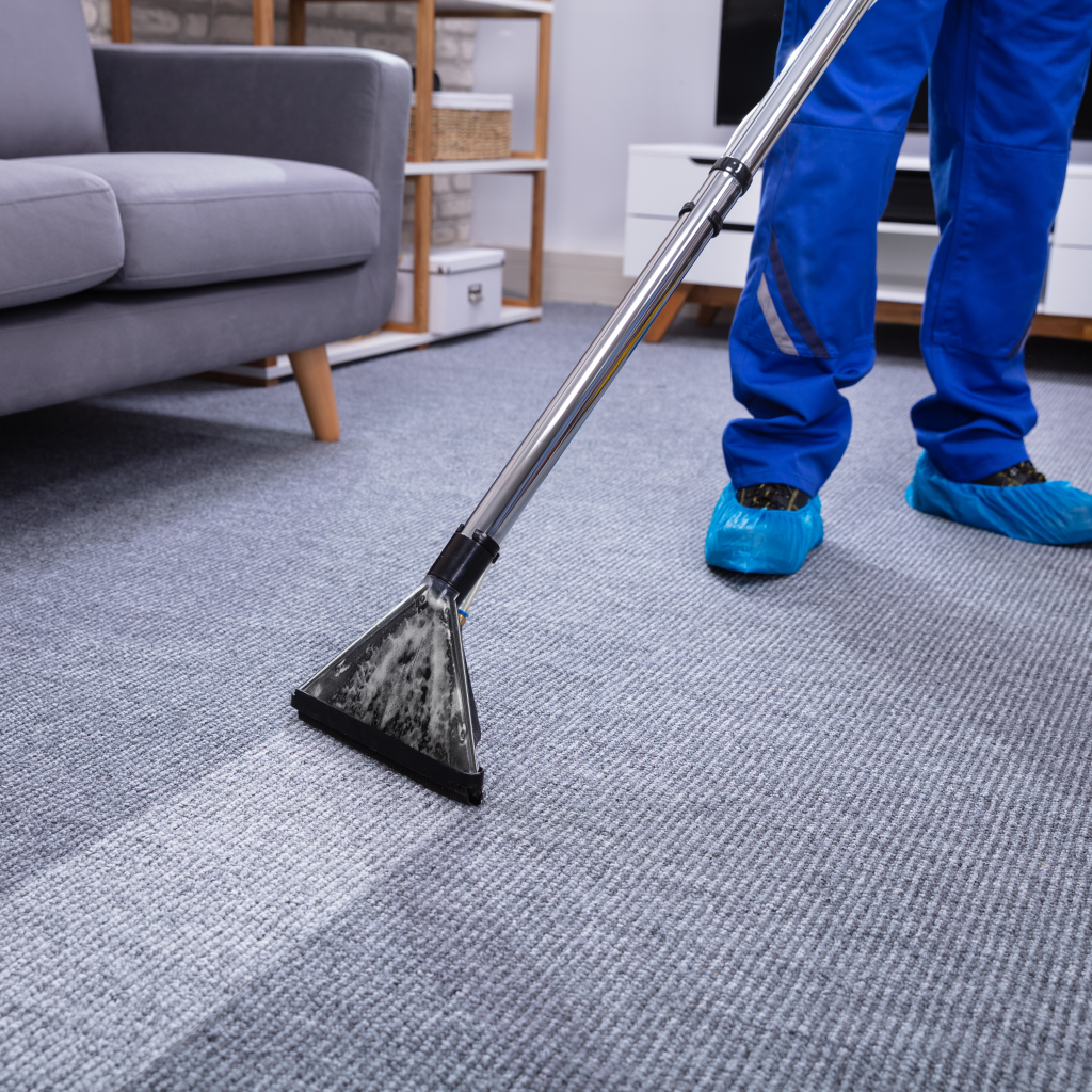 Professional Carpet Cleaning Services Ames, Iowa