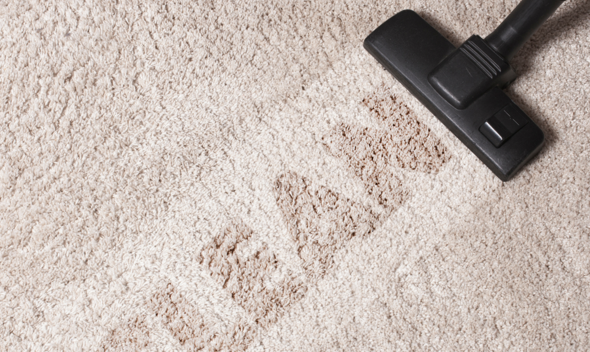 Carpet Cleaning Services in Ames, IA